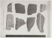 Fragments de céramiques; fouilles Seliquer