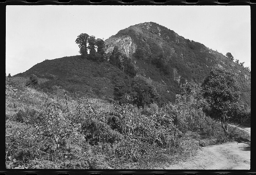 Cerro Tobon. Site de la finca San Miguel et volcan Jumay ( Jalapa).