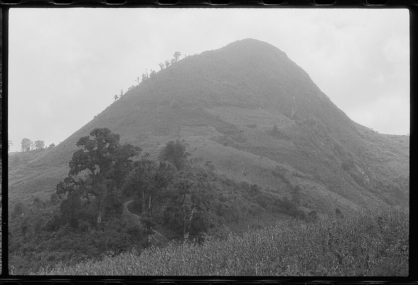 Cerro Tobon. Site de la finca San Miguel et volcan Jumay ( Jalapa).