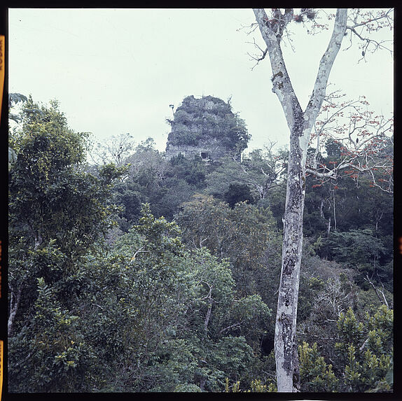 Tikal [une structure]