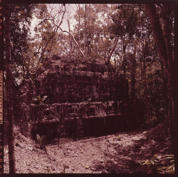 Tikal [une structure]
