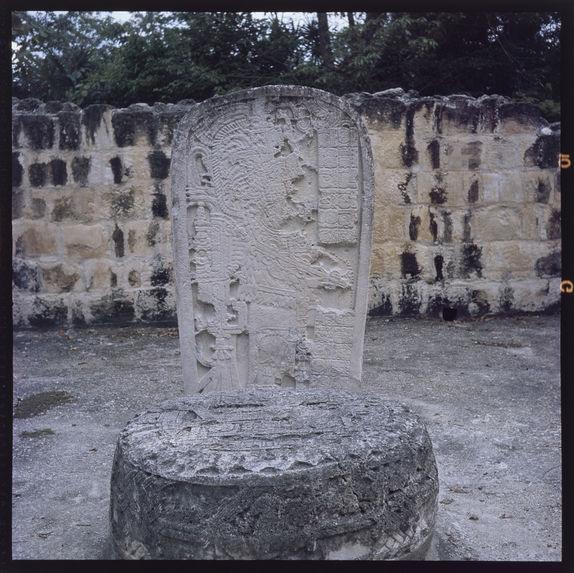 Tikal [stèle 22]