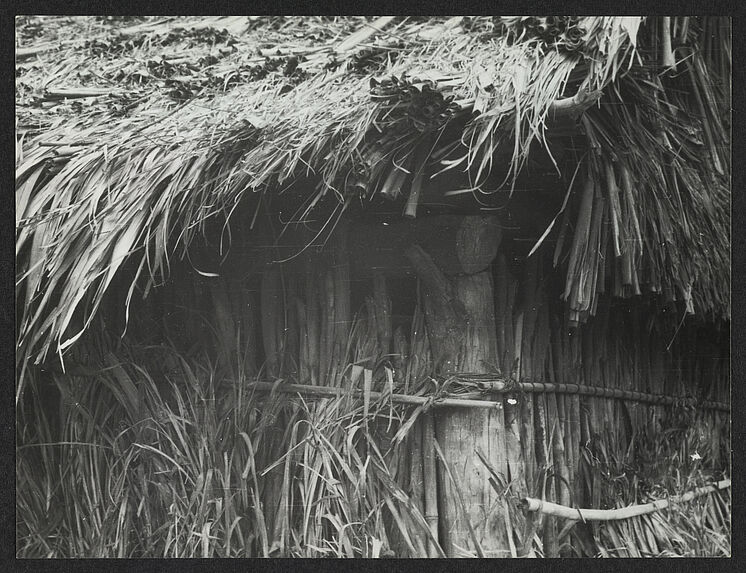 Colotenango, maison en tiges de maïs