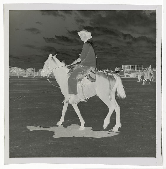 Vaqueros à cheval à la foire aux bestiaux