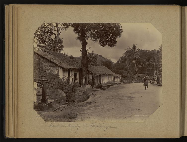 Route de Kandy à Péradénya