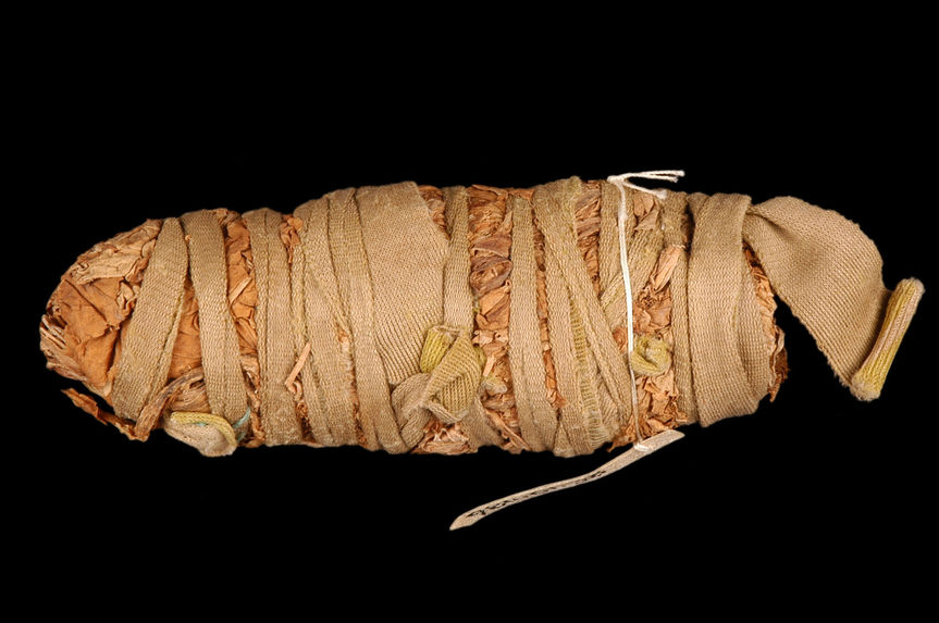 Feuilles de tabac enroulées dans un ruban de coton