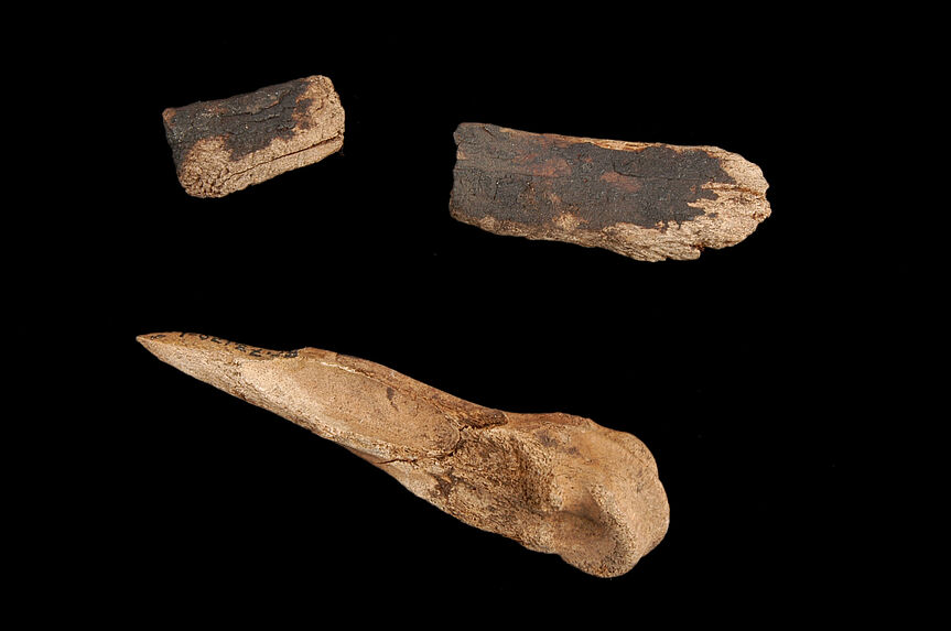 Trois fragments d'os