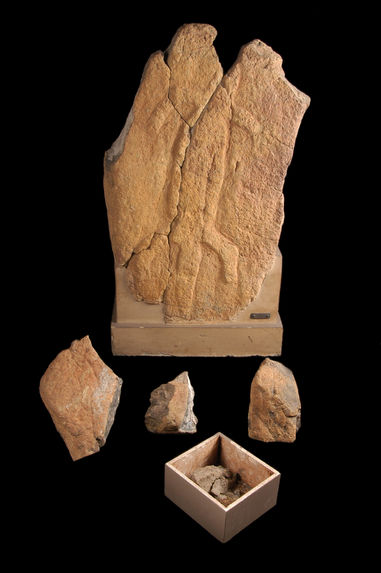 Pétroglyphe, fragments lithiques (4)