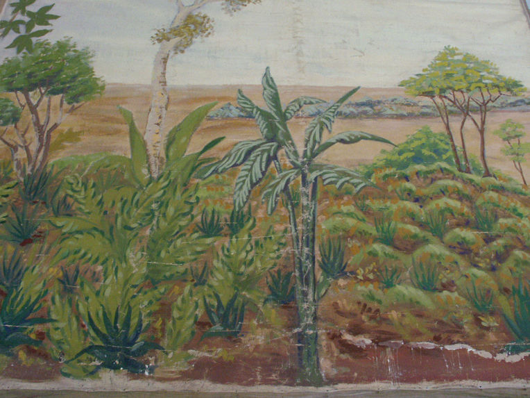 Diorama : Paysage, désert et végétation II