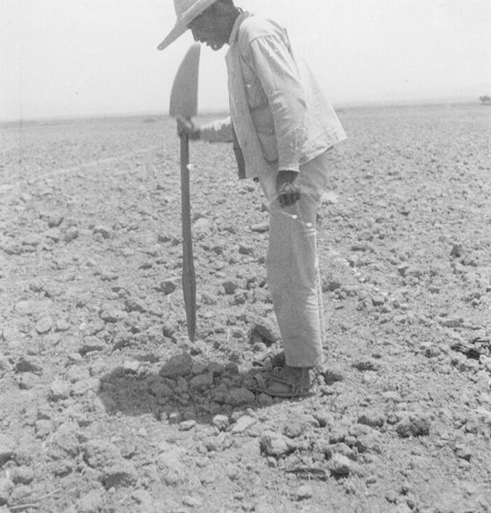 Otomi d'el Sitio, creusant un trou pour la semence du Maïs