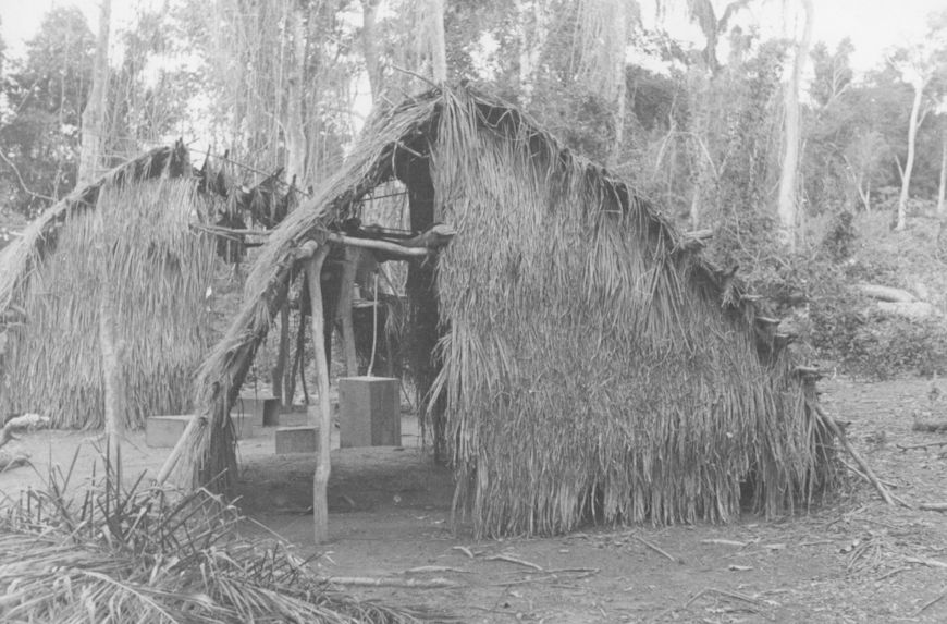 Habitations temporaires guarani