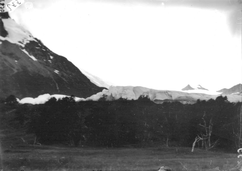 Glacier du Mont Darwin