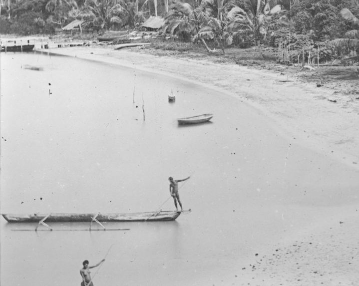 Ponton installé sur le rivage