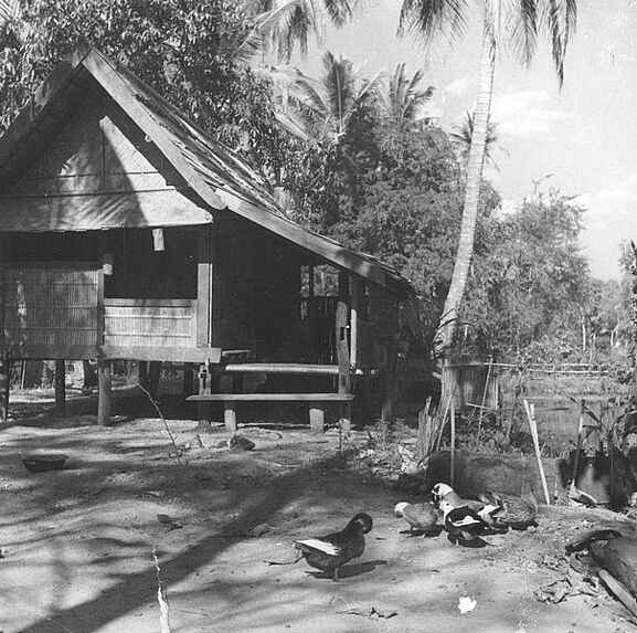 Habitation laotienne