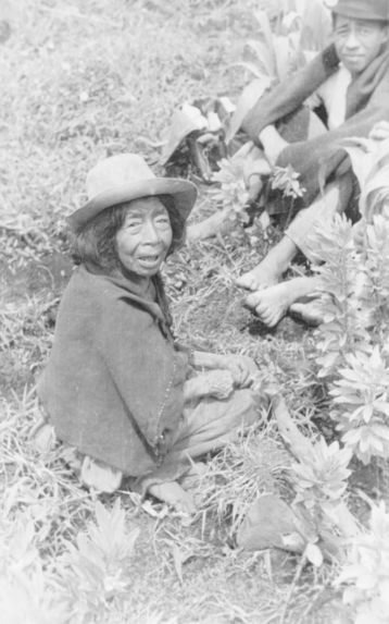 Ramona Casamachin dans un champ de maïs