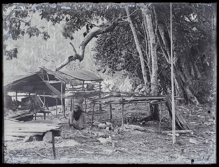 Case et séchoir à tripang dans le village Selo