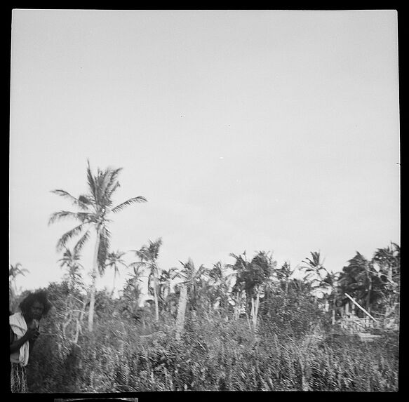 Les dégâts d'un cyclone