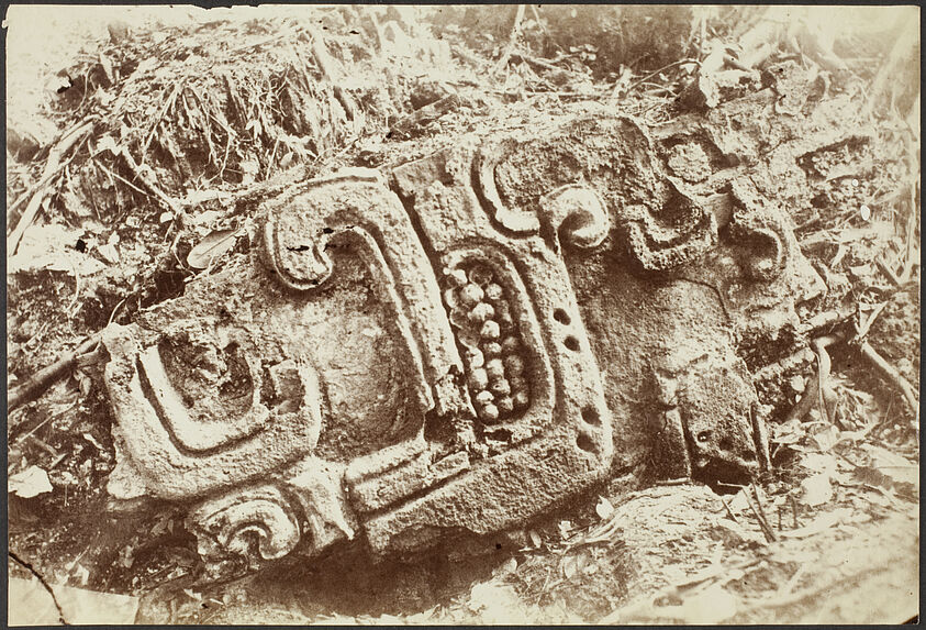Comalcalco. Bas-relief provenant de la tour n°1