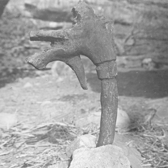 Badu - statue en bois sculpté