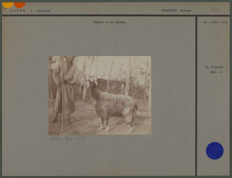 Pasteur et sa chèvre