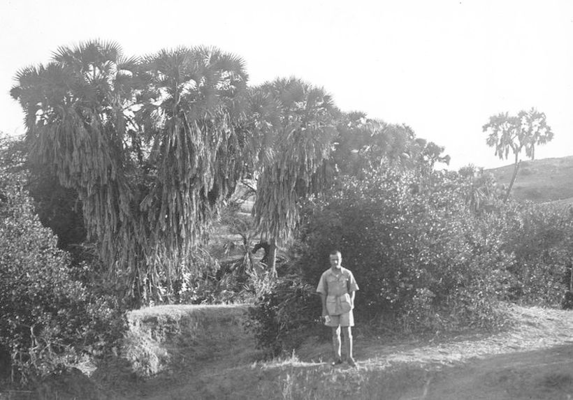 Michel Leiris devant les palmiers à Debra Birzen 1932