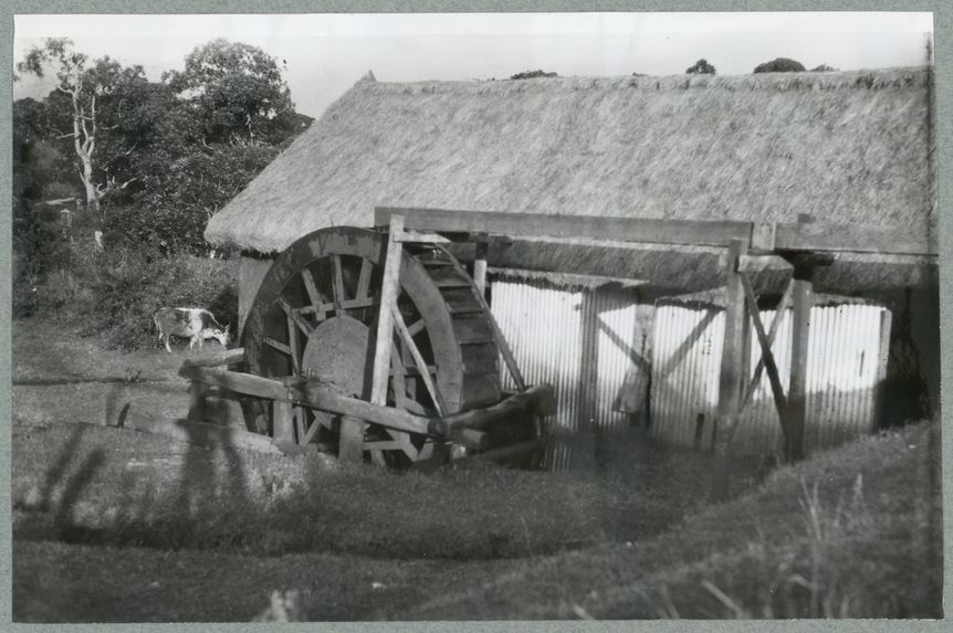 Sans titre [moulin]