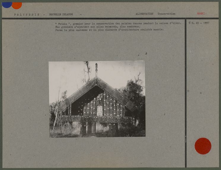 Ancienne habitation Maori