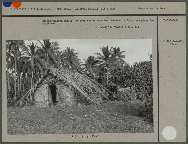 Maison traditionnelle en feuilles de cocotier tressées
