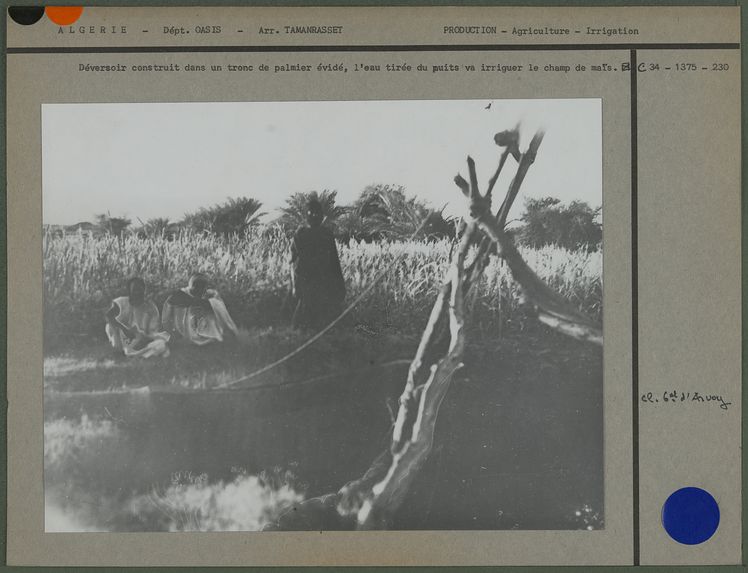 Déversoir construit dans un tronc de palmier évidé