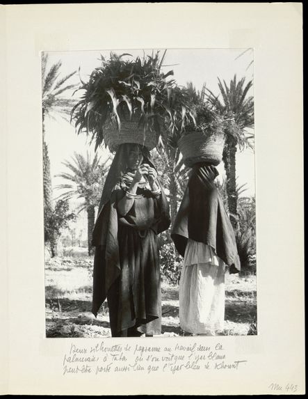 Deux silhouettes de paysannes au travail dans la palmeraie à Taba