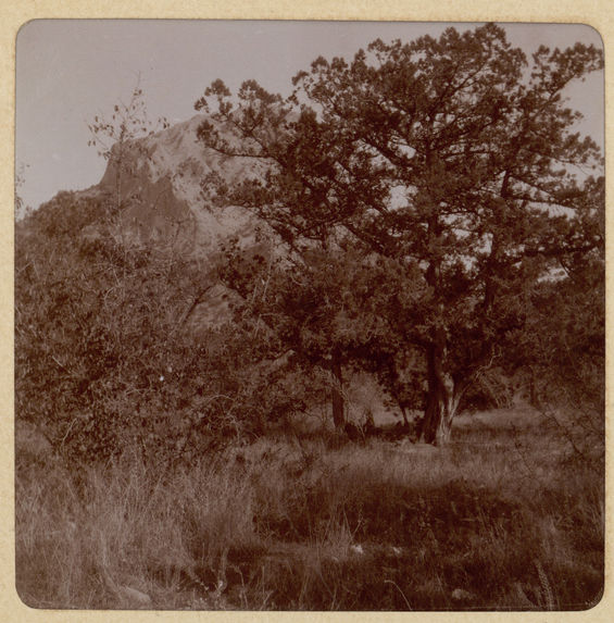 Crimée, 1905
