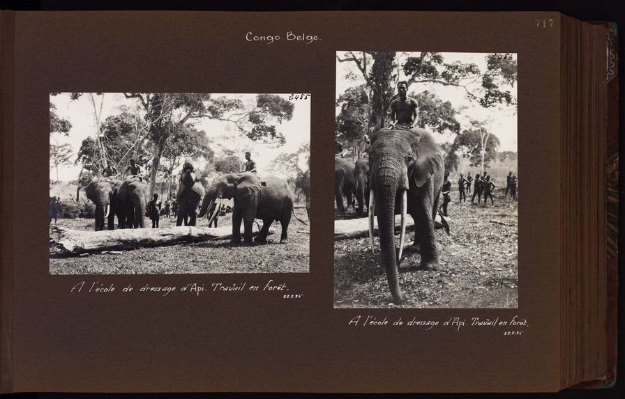 Expédition Centre-Afrique, 1924 - 1925 - Volume 8