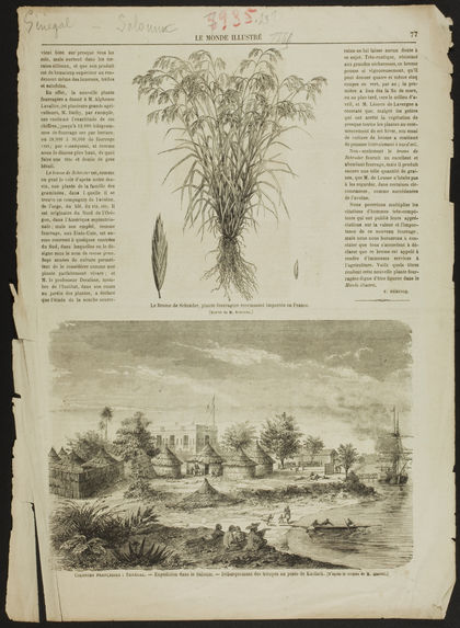 Colonies Françaises : Sénégal. Expédition dans le Saloum. Débarquement des troupes au poste de Kaolack