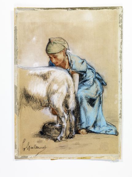 Femme [algérienne] trayant une chèvre