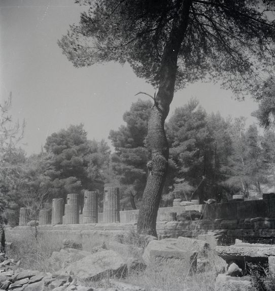 Grèce, Olympie [temple d'Héra]