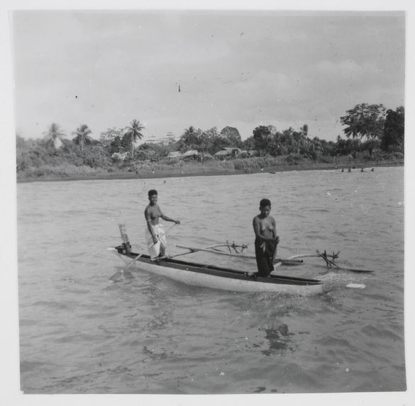 Côte entre Sepik et Madang