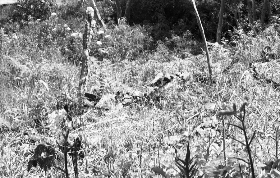 Buang Watut. Mission 75-76. Bande film de 6 vues concernant le cimetière de Ceraio