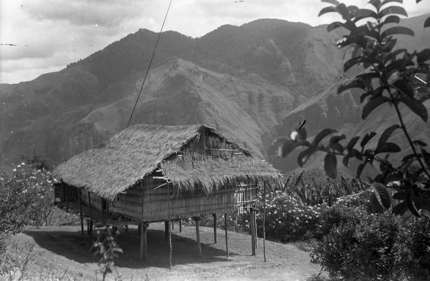 Buang Watut. Mission 1954-55. Bande film de 6 vues de Mapos