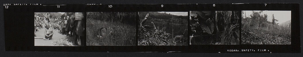 Buang Watut. Mission 1954-55. Planche contact de 5 vues concernant des plantes, une sépulture et un portrait