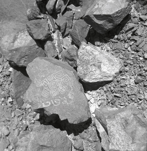 Pétroglyphes de Chekta, Rio Chillon (dépt. de Lima)