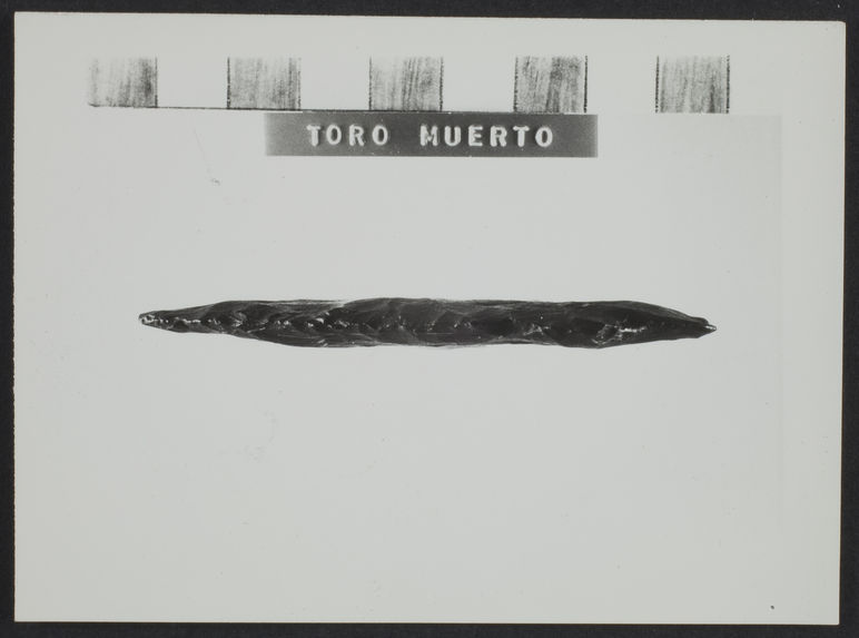 Toro Muerto