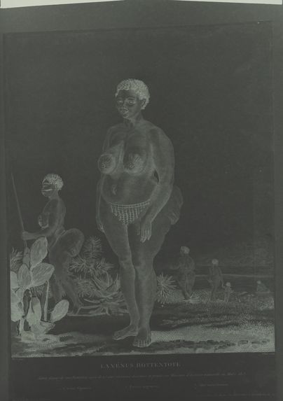 La Vénus hottentote, gravure de 1815