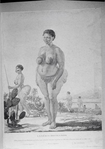 La Vénus hottentote, gravure de 1815