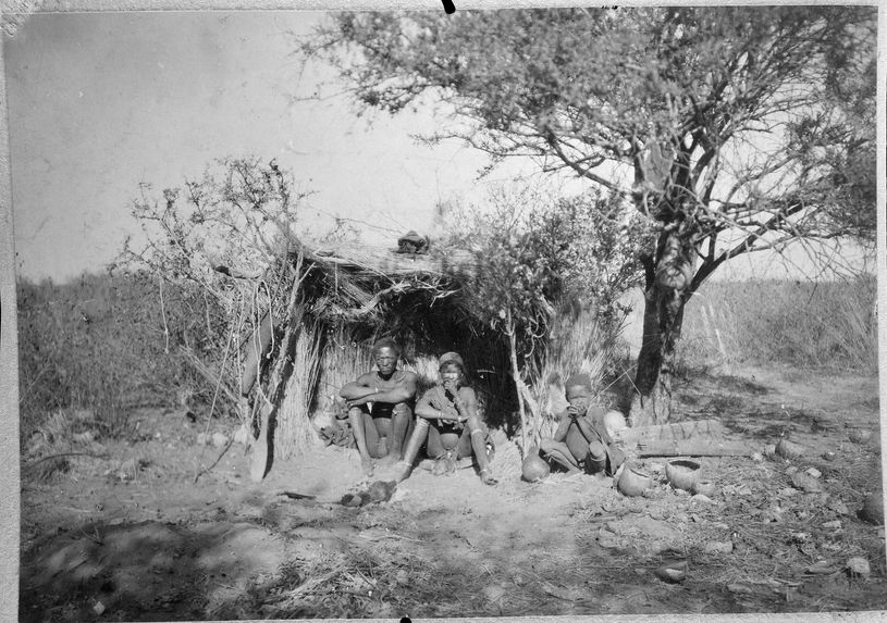 Bochimans devant leur hutte