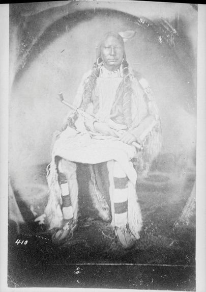 Type indien cheyenne