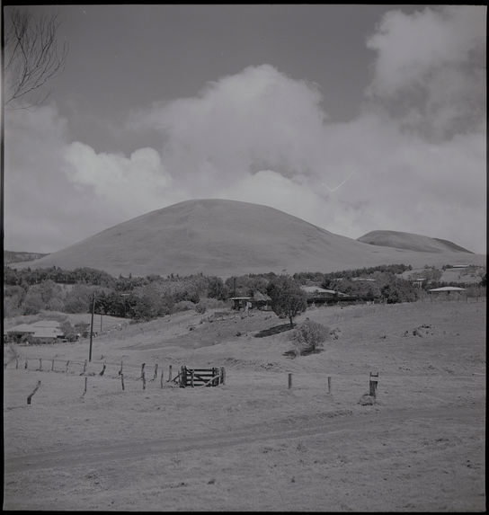 Bande film de quatre vues concernant des paysages, des portraits et des plantations