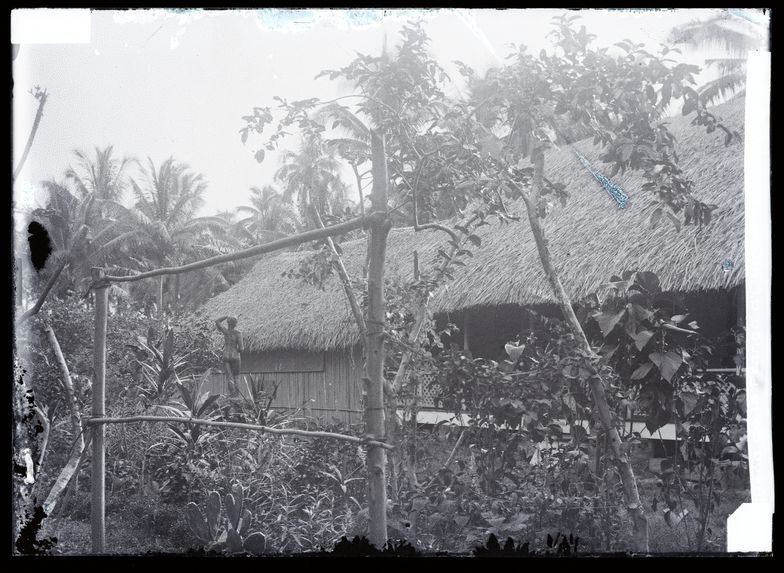 Habitation du peintre Gauguin