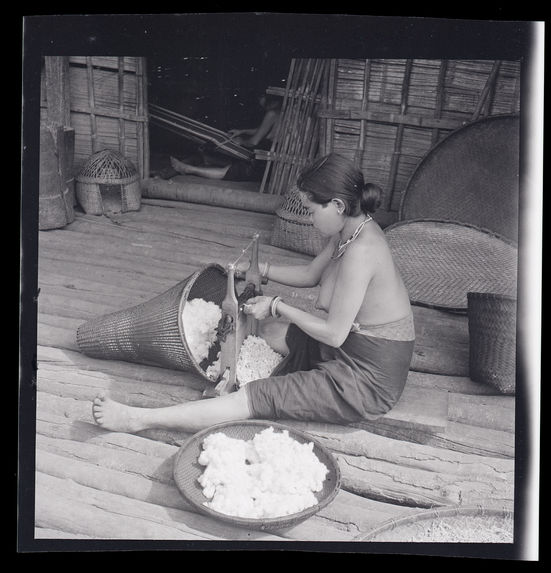 La femme carde le kapok (carder = mettre en fil, comme on fait pour le coton)