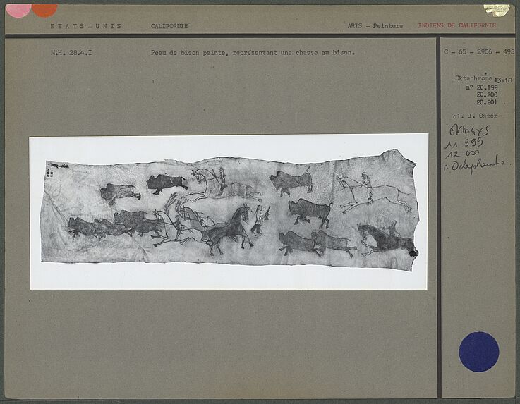 Peau peinte, scène d’une chasse au bison