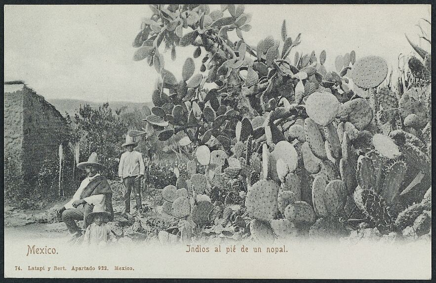 Indios al pié de un nopal